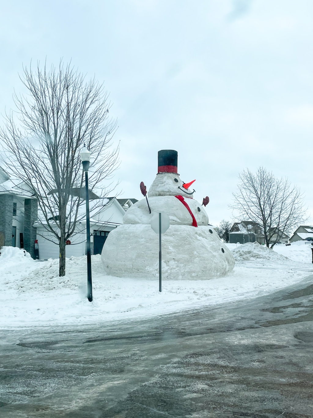A Giant Snowman, Valentines things, Crumbl